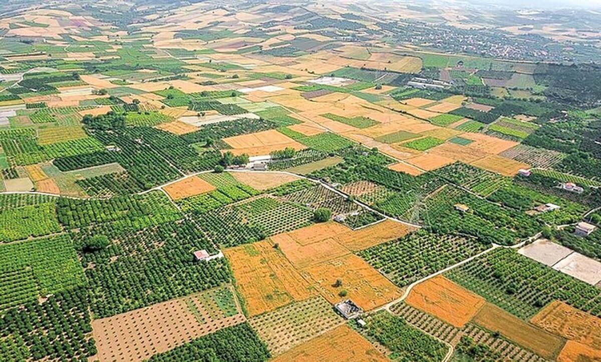 وکیل دعاوی اراضی ملی، منابع طبیعی و موات